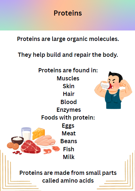 Grade 10 Life Sciences Term 1 Study Pack (CAPS Aligned) - Image 2