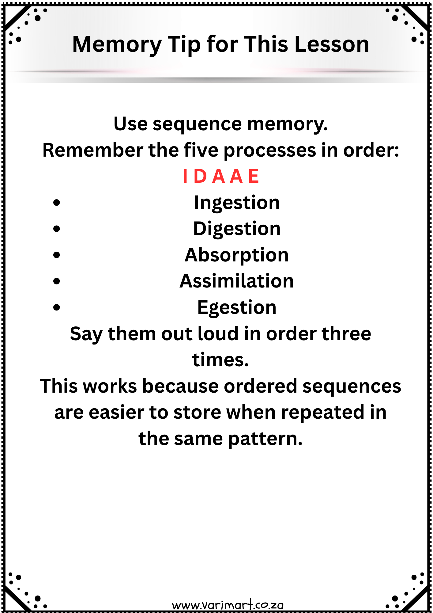 Grade 11 Life Sciences Term 2 Study Pack (CAPS Aligned) - Image 4